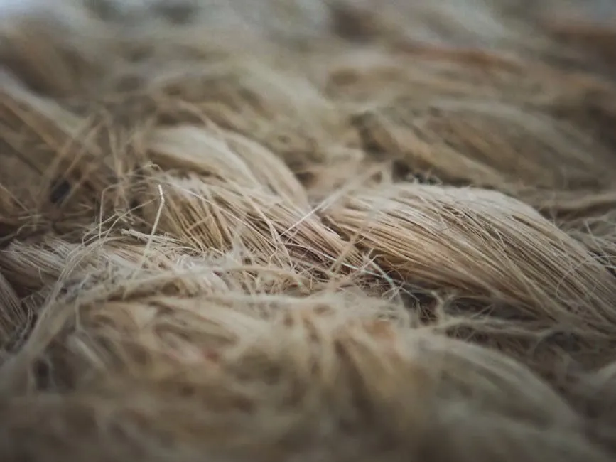 Lịch Sử Vải Linen: Hành Trình Từ Cổ Đại Đến Hiện Đại