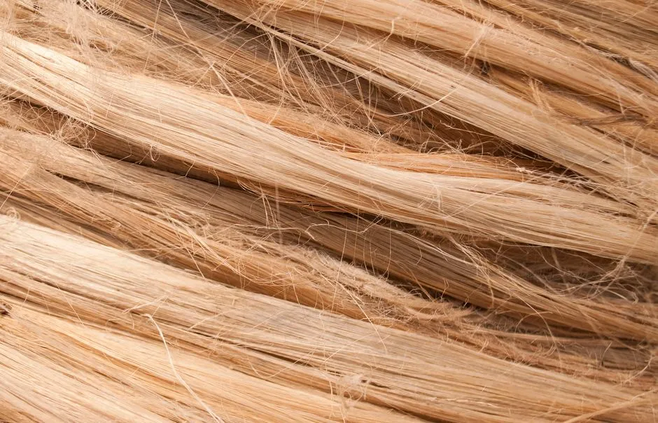 Sợi Thô Từ Cây: Nguồn Gốc & Ứng Dụng Bền Vững